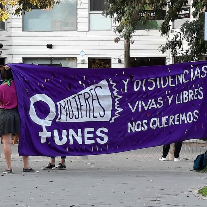 Colectivo Mujeres Funes repudia los dichos de Milei en marcha federal